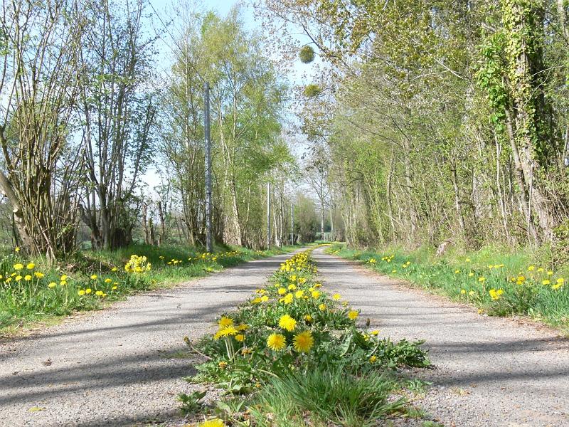Mont Saint Michel 2010 - 191.jpg